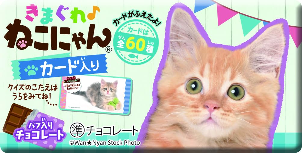 Amazon.co.jp: 正栄デリシィ きまぐれねこにゃん 1枚 ×20個 : 食品